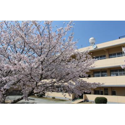 ふるさと納税 田原本町 [返礼品なし]田原本町立東小学校 学校応援ふるさと寄附金 5,000円