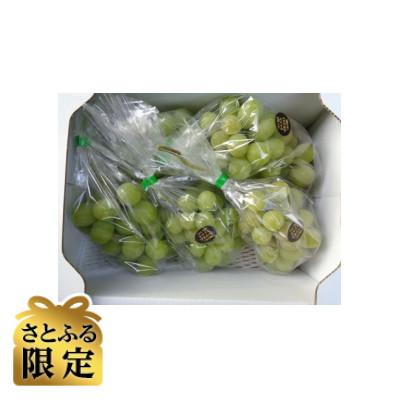 ふるさと納税 岡山市 [さとふる限定]シャインマスカット計2kg 岡山市北区建部町産
