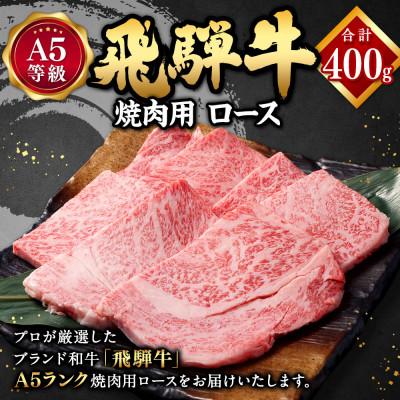ふるさと納税 美濃加茂市 飛騨牛A5等級 焼肉用 400g (ロース)
