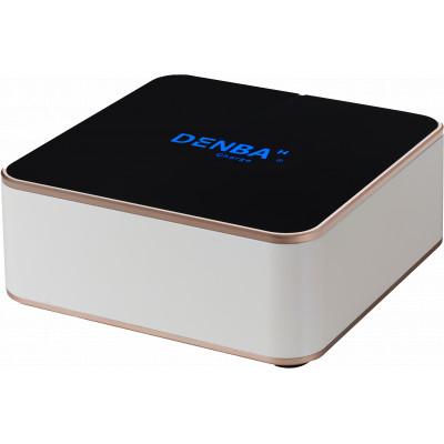 ふるさと納税 蓮田市 DENBA Health Charge デンバヘルスチャージ