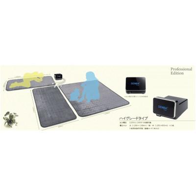 ふるさと納税 蓮田市 DENBA Health High-grade デンバヘルスハイグレードの画像