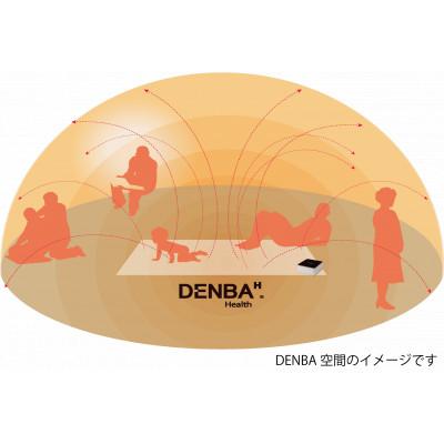 ふるさと納税 蓮田市 DENBA Health High-grade デンバヘルスハイグレードの画像