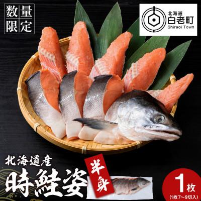 ふるさと納税 白老町 北海道産 時鮭 姿切身1枚