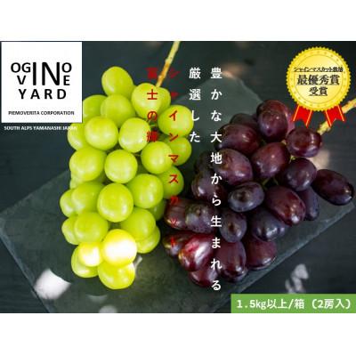 ふるさと納税 南アルプス市 [2026年秋収穫先行予約]山梨県産 富士の輝&amp;シャインマスカット 1.5kg以上/箱(2房入)