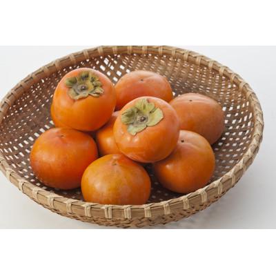 ふるさと納税 朝倉市 フルーツの里の直売所より 富有柿10〜16玉(11月下旬より順次発送)