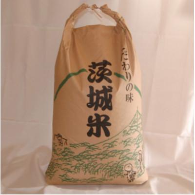 ふるさと納税 石岡市 [令和7年産]獅子米 いのちの壱 玄米 10kg