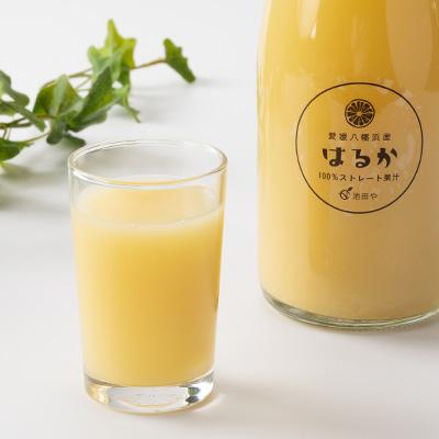 ふるさと納税 八幡浜市 はるかジュース 720ml×12本【H56-77】の画像