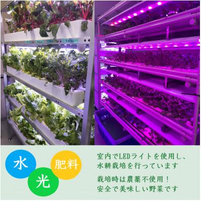 ふるさと納税 吉岡町 品種おまかせ!LED菜園野菜ミックス 500g×1パック_1