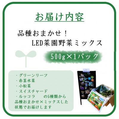 ふるさと納税 吉岡町 品種おまかせ!LED菜園野菜ミックス 500g×1パック_2