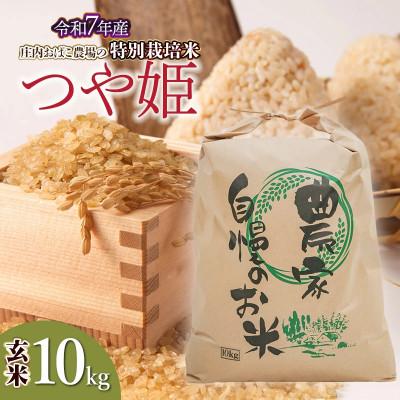 ふるさと納税 鶴岡市 (令和7年産先行予約)庄内おばこ農場の特別栽培米つや姫玄米 10kg[K-7111]