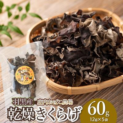 ふるさと納税 鶴岡市 羽黒産 乾燥キクラゲ12g×5袋(計60g)[K-710]