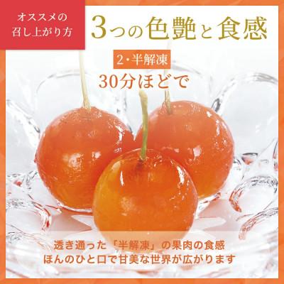 ふるさと納税 寒河江市 さくらんぼの宝石!プチジェリチェリー 8個入×2