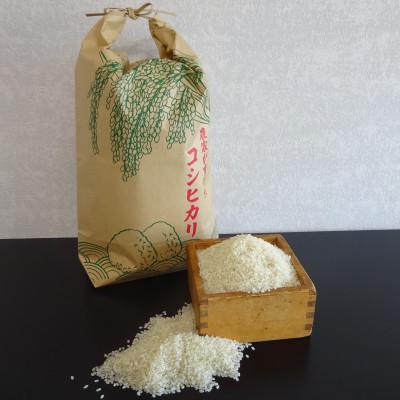 ふるさと納税 いわき市 令和7年産[新米]福島県産コシヒカリ 精米 5kg