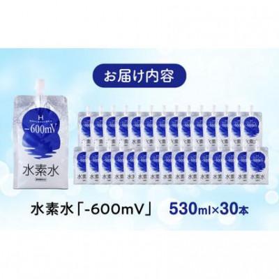 ふるさと納税 福山市 H水 530ml×30本 合財袋