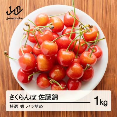 ふるさと納税 山辺町 [先行予約]さくらんぼ 特選 佐藤錦 秀品 約1kg 令和8年産 tf-snbsl1000