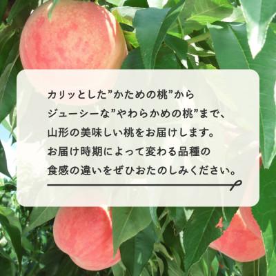 ふるさと納税 山辺町 先行受付 白桃 秀品 品種おまかせ 3kg 化粧箱入り 令和8年産 山形県産 ns-mohtx3の画像