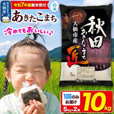 ふるさと納税 大仙市 [令和7年産 新米受付][白米]秋田県大仙市産 あきたこまち 10kg(5kg×2)1回のみお届け