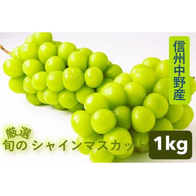 ふるさと納税 中野市 [厳選 旬のシャインマスカット1kg]フルーツ大国信州中野産