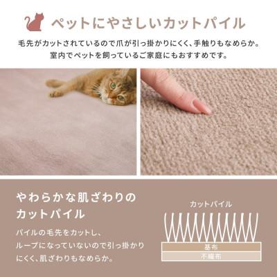 ふるさと納税 泉大津市 ペットにもやさしい　抗菌。防臭カーペット　江戸間6帖　1枚　アイボリー　600094660_1