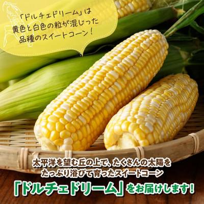 ふるさと納税 川南町 【令和8年発送】宮崎県産とうもろこし　朝どれ!守部さんちのドルチェドリーム2.5kg