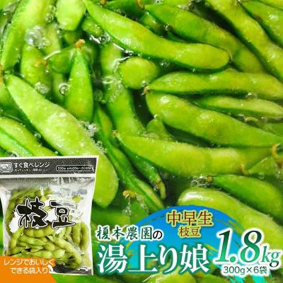ふるさと納税 鶴岡市 [令和8年分先行予約]榎本農園の中早生枝豆 湯上り娘 1.8kg(300g×6袋)[K-834]