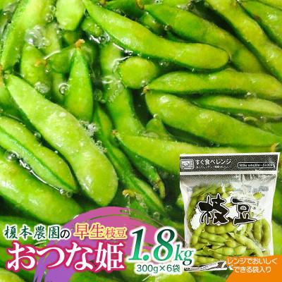 ふるさと納税 鶴岡市 [令和8年分先行予約]榎本農園の早生枝豆 おつな姫 1.8kg(300g×6袋)[K-834]