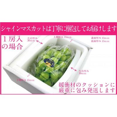 ふるさと納税 倉敷市 先行予約 赤秀ぶどう 9月〜10月発送 プレミアム シャインマスカット 晴王 1房 約750gの画像