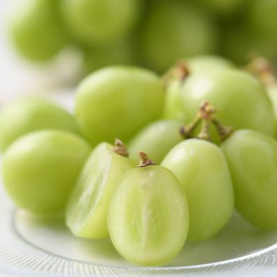 ふるさと納税 浜松市 [2026年8月分 先行受付]シャインマスカット&amp;ピオーネ(合わせ房) 300g×各2パック