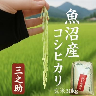 ふるさと納税 魚沼市 令和7年産 三之助 魚沼産コシヒカリ[玄米]30kg