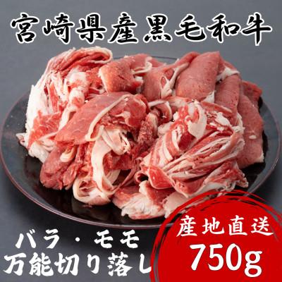 ふるさと納税 諸塚村 宮崎県産黒毛和牛バラ・モモ万能切り落し 750g(諸塚村)