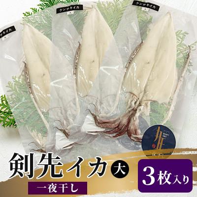 ふるさと納税 壱岐市 剣先イカ一夜干し大3枚入