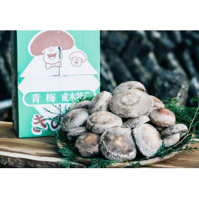 ふるさと納税 青梅市 原木栽培生椎茸 ご贈答品 約1kg