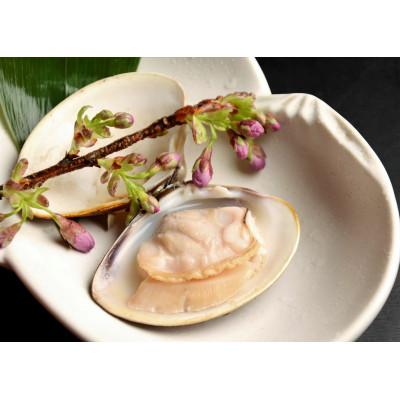 ふるさと納税 桑名市 桑名産天然はまぐり10年もの(レトルト)6粒入_1