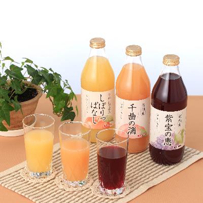 ふるさと納税 千曲市 [のし付き]信州寿果樹園こだわりジュースセット