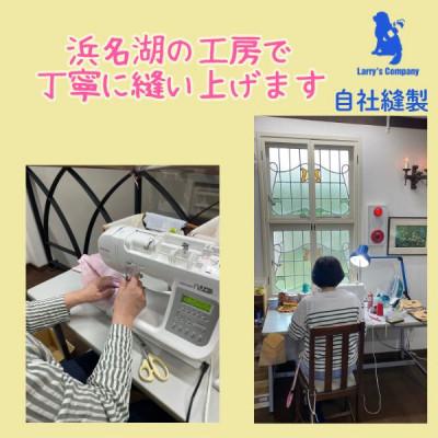 ふるさと納税 浜松市 中型犬用 Mサイズ ハーフチョークカラーとリードのセット 【シルバーライン\u0026ピンク】の画像