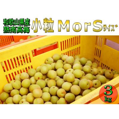 ふるさと納税 かつらぎ町 [梅干・梅酒用等]紀州和歌山の熟南高梅(約3kg+3%)[6月下旬〜7月上旬順次発送]