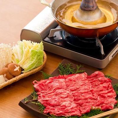 ふるさと納税 高知市 [高知名物]土佐あかうし しゃぶしゃぶ用ロース 約500g|赤身が美味しい幻の和牛|[AM014]