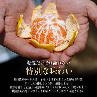 ふるさと納税 八幡浜市 老舗農家が見極めたプレミアム【愛媛みかん20kg】【愛媛県川上産】【H70-106】_2