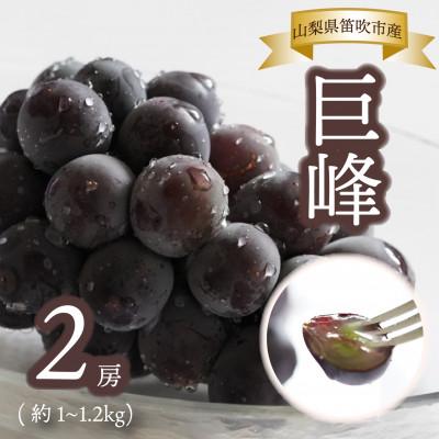 ふるさと納税 笛吹市 [山梨県笛吹市産]Inakakara 巨峰 2房(計1〜1.2kg)