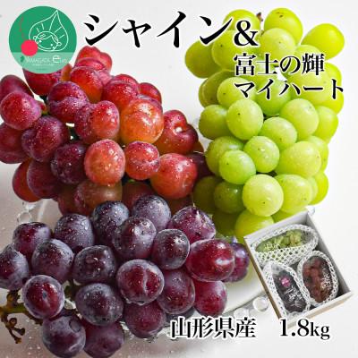ふるさと納税 山形県 シャインマスカット&富士の輝&マイハート 1.8kg