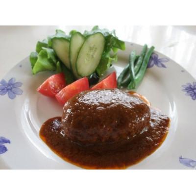 ふるさと納税 丹波市 てらミ-ト特製 但馬牛煮込みハンバ-グ5個入