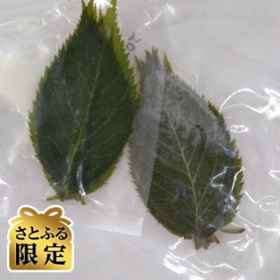 ふるさと納税 与謝野町 [さとふる限定]桜葉塩漬け 計50枚 京都与謝野町産 手摘み栽培期間中農薬不使用