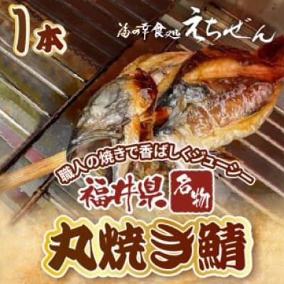 ふるさと納税 越前町 [福井県 名物]丸焼き鯖 一本 職人の焼きで香ばしくジューシー