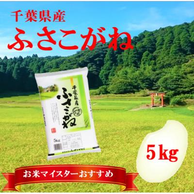ふるさと納税 大網白里市 [新米 令和7年産]千葉県産「ふさこがね」精米 5kg(5kg×1袋)