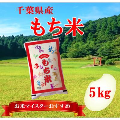 ふるさと納税 大網白里市 [新米 令和7年産]千葉県産「もち米」精米 5kg(5kg×1袋)