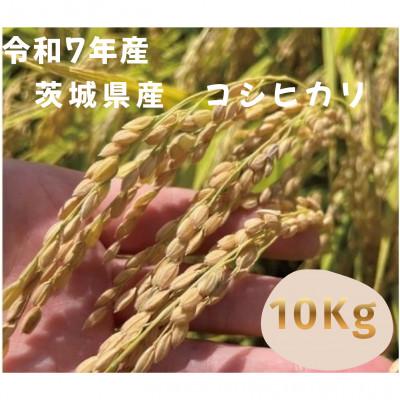 ふるさと納税 つくば市 [令和7年産]茨城県産コシヒカリ 玄米10kg