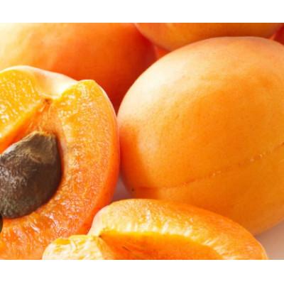 ふるさと納税 千曲市 [2026年発送]杏子 ハーコット 約800g