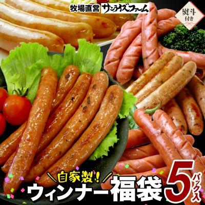 ふるさと納税 香取市 [熨斗付き]自家製 お楽しみウインナー 5種セット