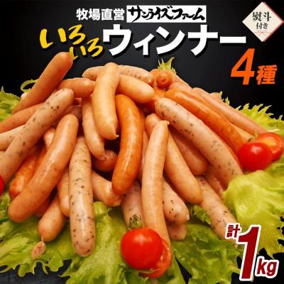 ふるさと納税 香取市 [熨斗付き]自家製 いろいろウインナー4種ミックス 1kgパック 業務用