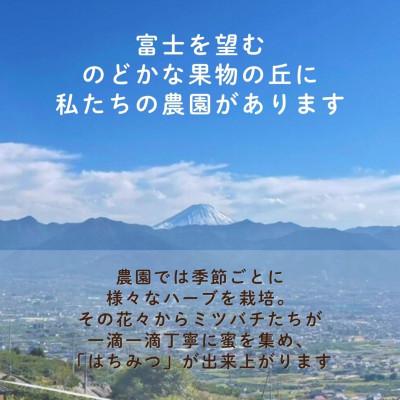 ふるさと納税 山梨市 【さとふる限定】山梨市産 非加熱純粋はちみつ 185g×2本の画像